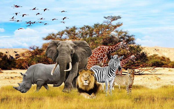 "Lets Get Wild" A Safari Adventure April 13, 2024