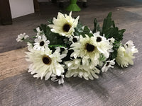 Spider daisy x12