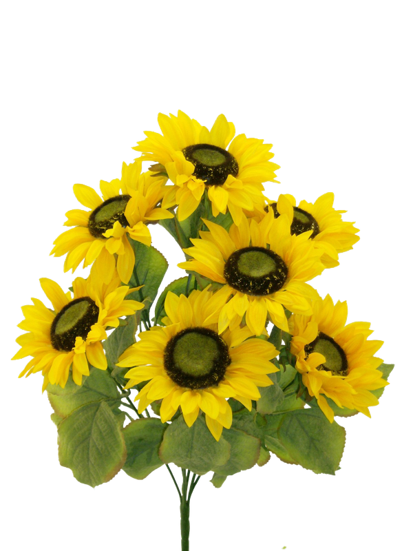Sunflower bush x 7 - yellow