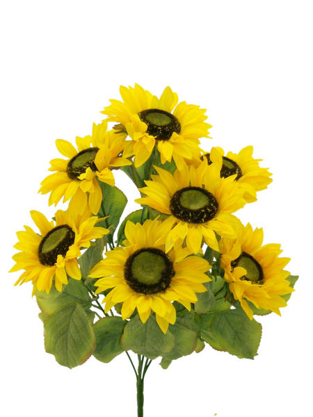 Sunflower bush x 7